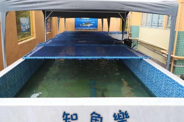 知魚樂