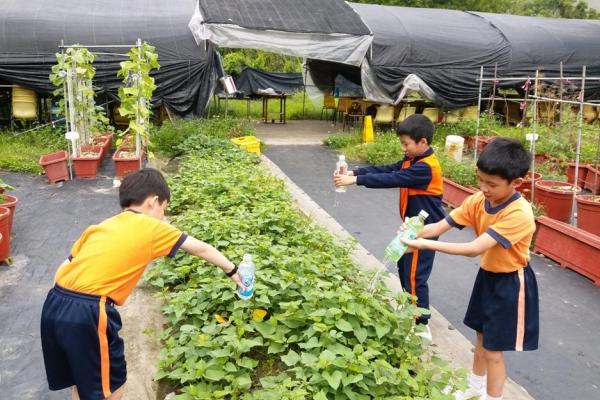 用膠樽製造成澆水用具。